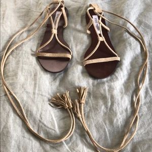 Steve Madden gladiator sandals